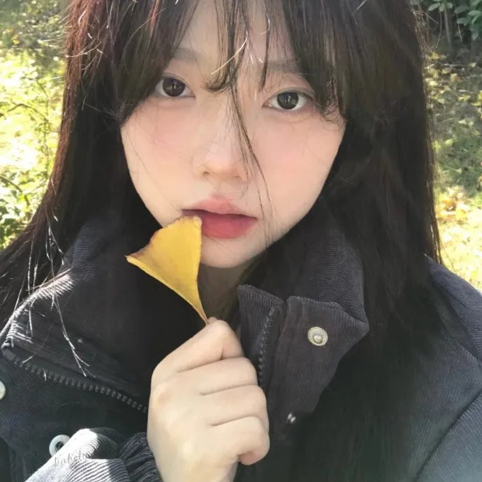傻瓜与睡美人
